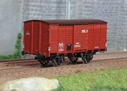 - Ree Modeles - WB-744