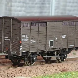 - Ree Modeles - WB-746