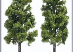 Busch 6791 Plane tree x 2 - Busch - Busch_6791