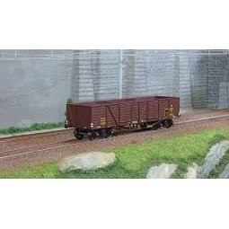 - Ree Modeles - WB-785