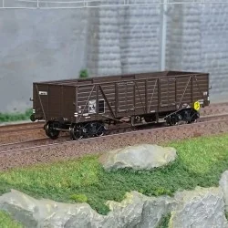 - Ree Modeles - WB-786