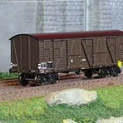 - Ree Modeles - WB-776