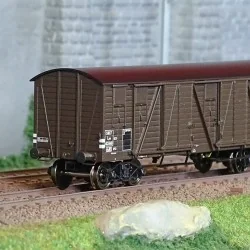 - Ree Modeles - WB-778