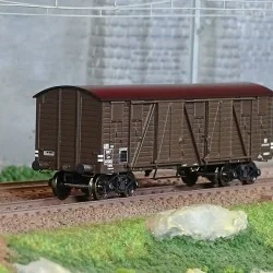 - Ree Modeles - WB-779