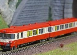 - Ree Modeles - NW-200