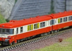 - Ree Modeles - NW-202