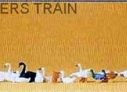 Preiser 14167 animals, ducks, geese and swans