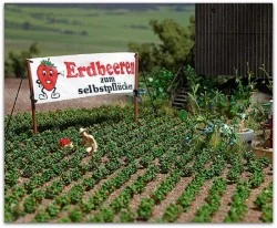 Busch 1265 Strawberry Plant Kits - Busch - Busch_1265