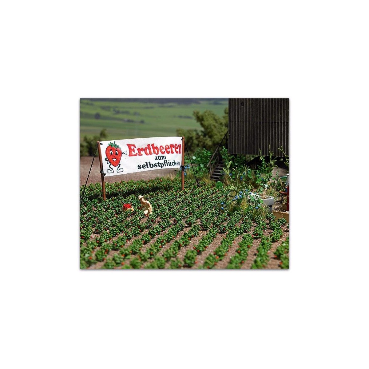 Busch 1265 Strawberry Plant Kits - Busch - Busch_1265