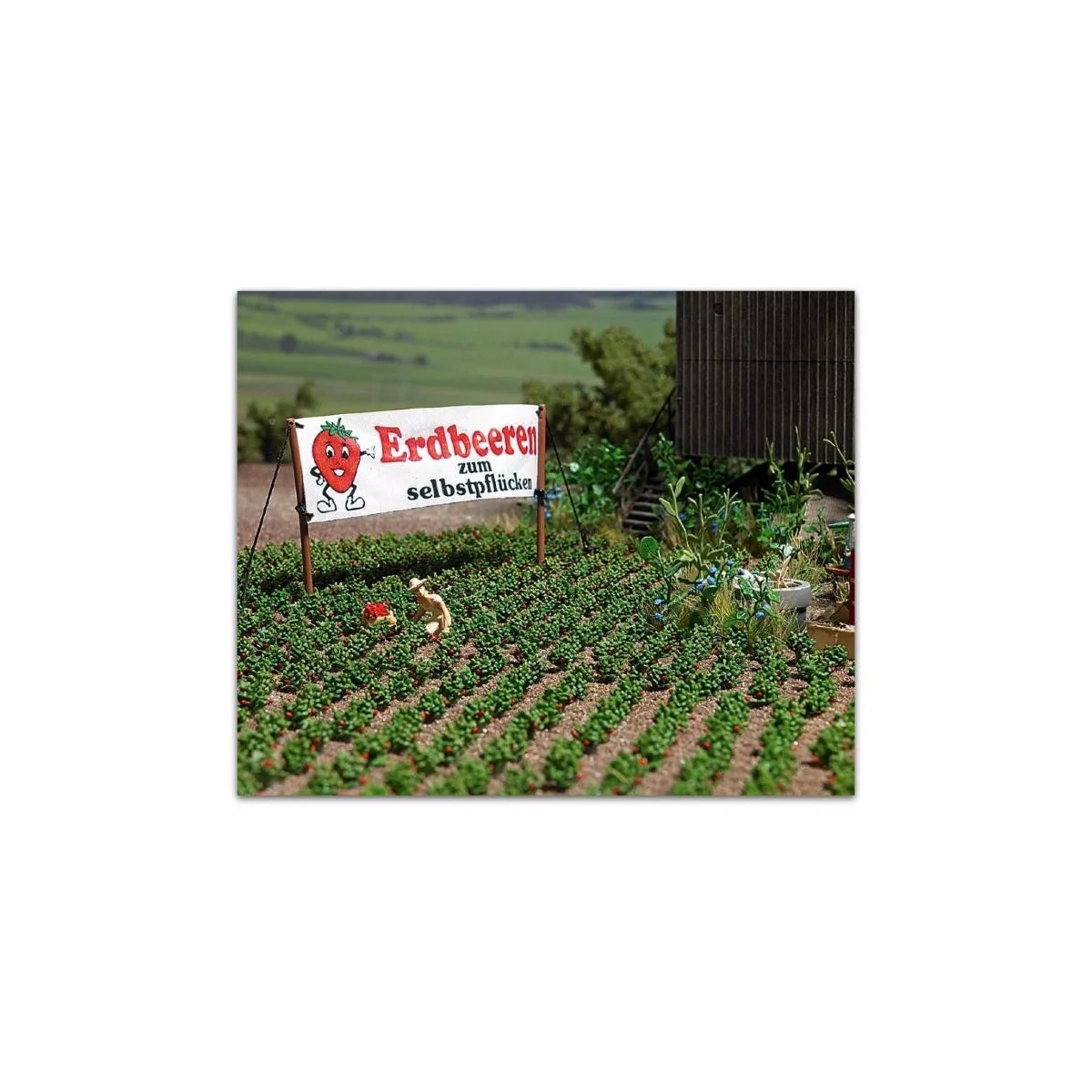 Busch 1265 Strawberry Plant Kits - Busch_1265 Busch 1265 Strawberry Plant Kits - Busch_1265