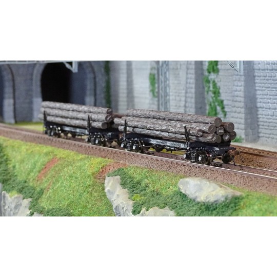 HR6629-Rivarossi HR6629 Set de 2 wagons porte grumes, Coos Bay Lumber Co, No. 166 et 168, chargé bois