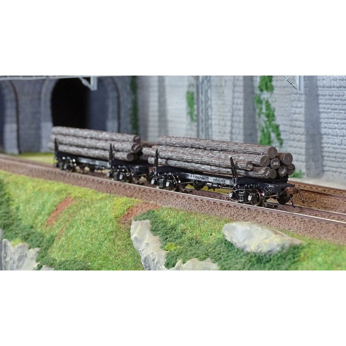 Rivarossi HR6629 Set de 2 wagons porte grumes, Coos Bay Lumber Co, No. 166 et 168, chargé bois Rivarossi HR6629 - 4