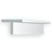 Evergreen plastic T-profile